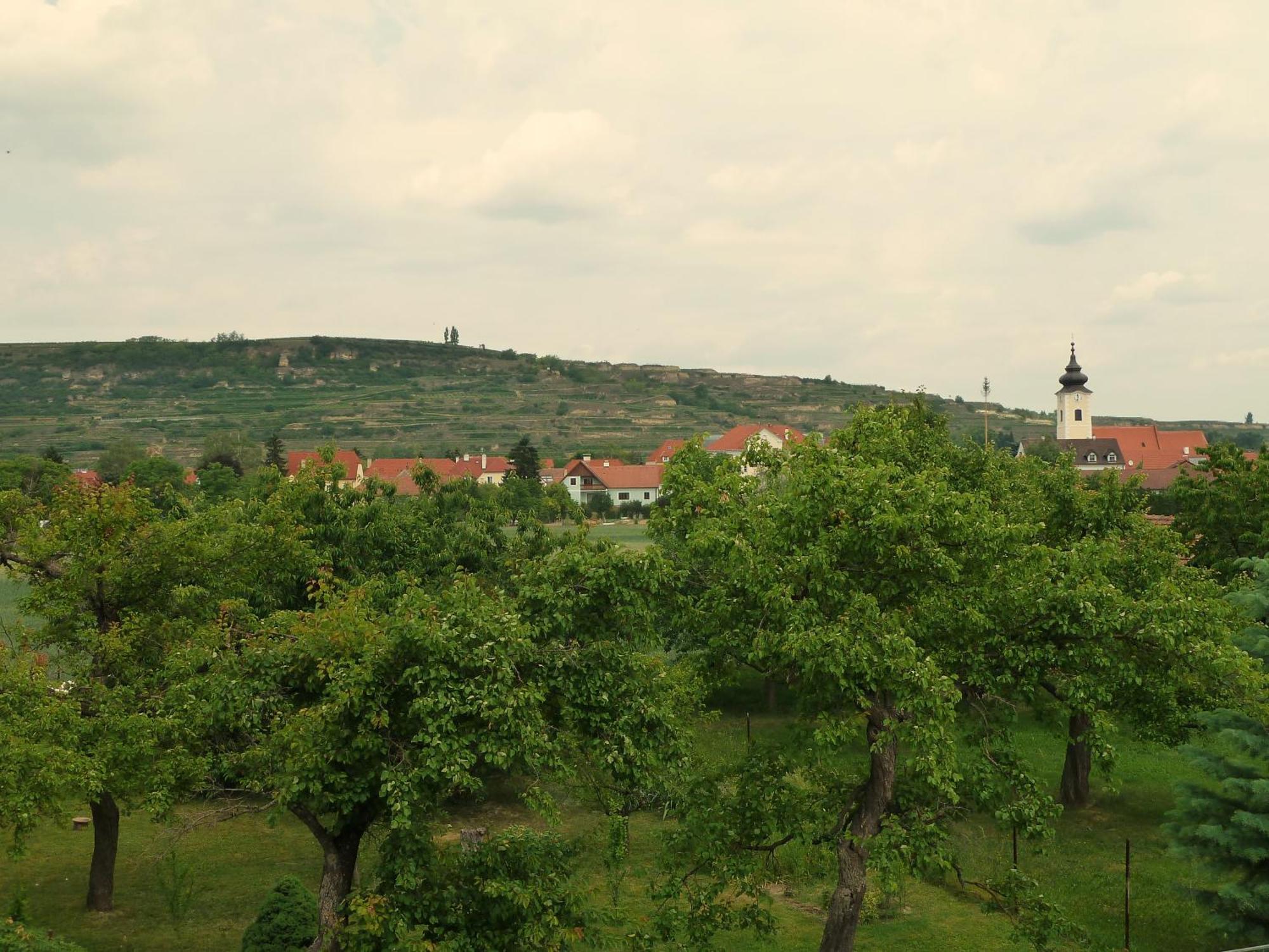 Ferienwohnung Weinbergblick Rohrendorf bei Krems Extérieur photo