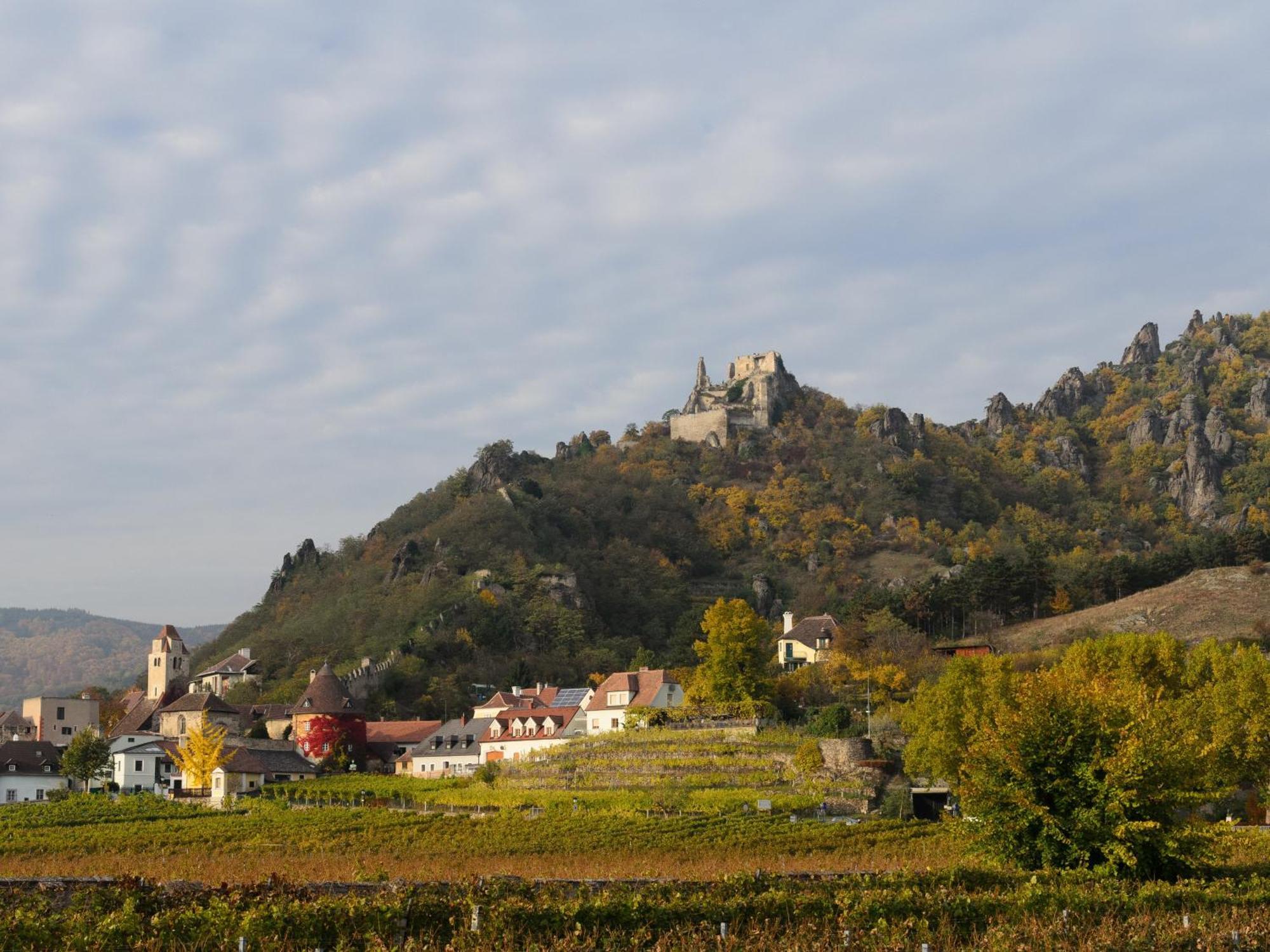 Ferienwohnung Weinbergblick Rohrendorf bei Krems Extérieur photo