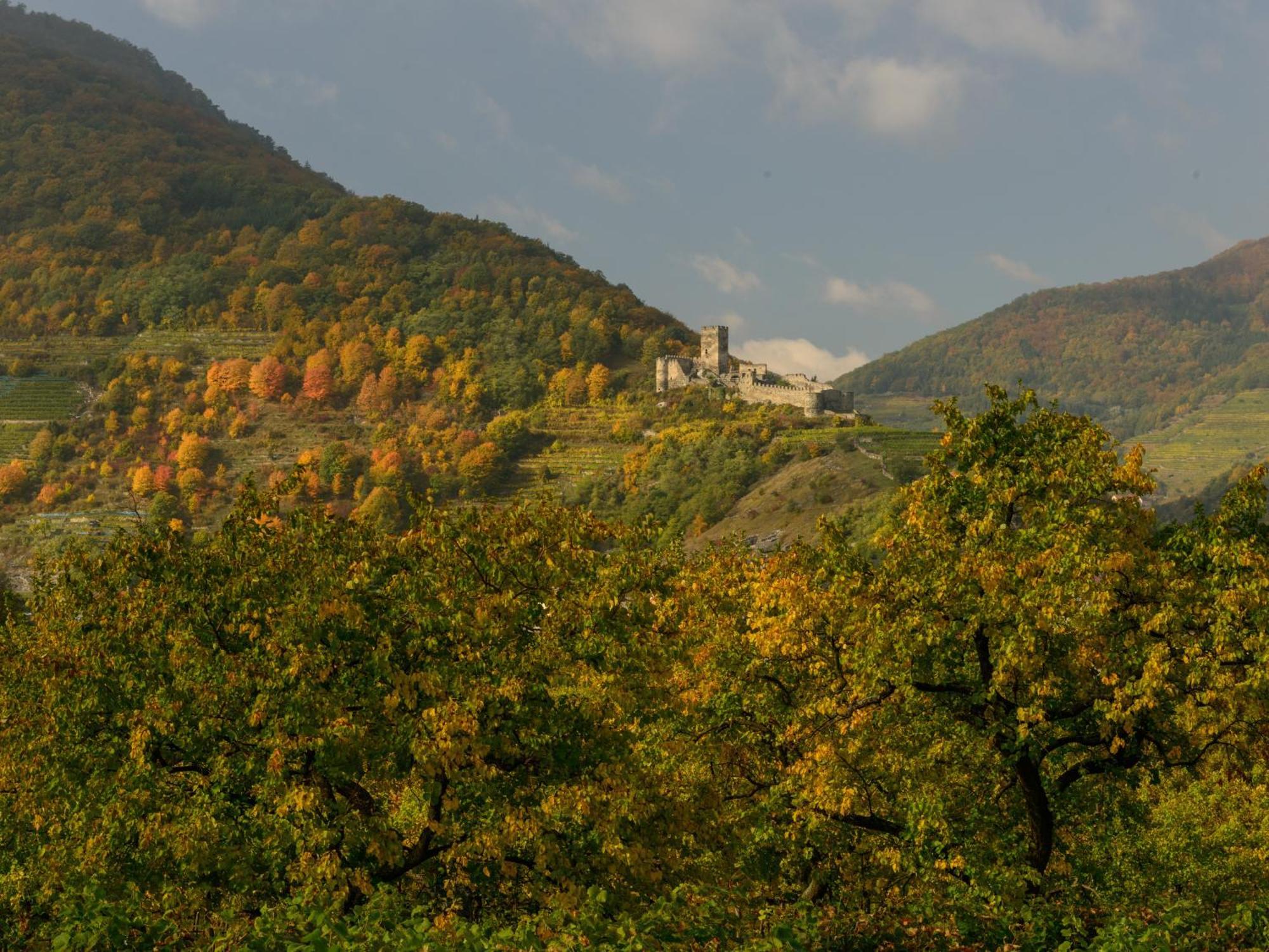 Ferienwohnung Weinbergblick Rohrendorf bei Krems Extérieur photo