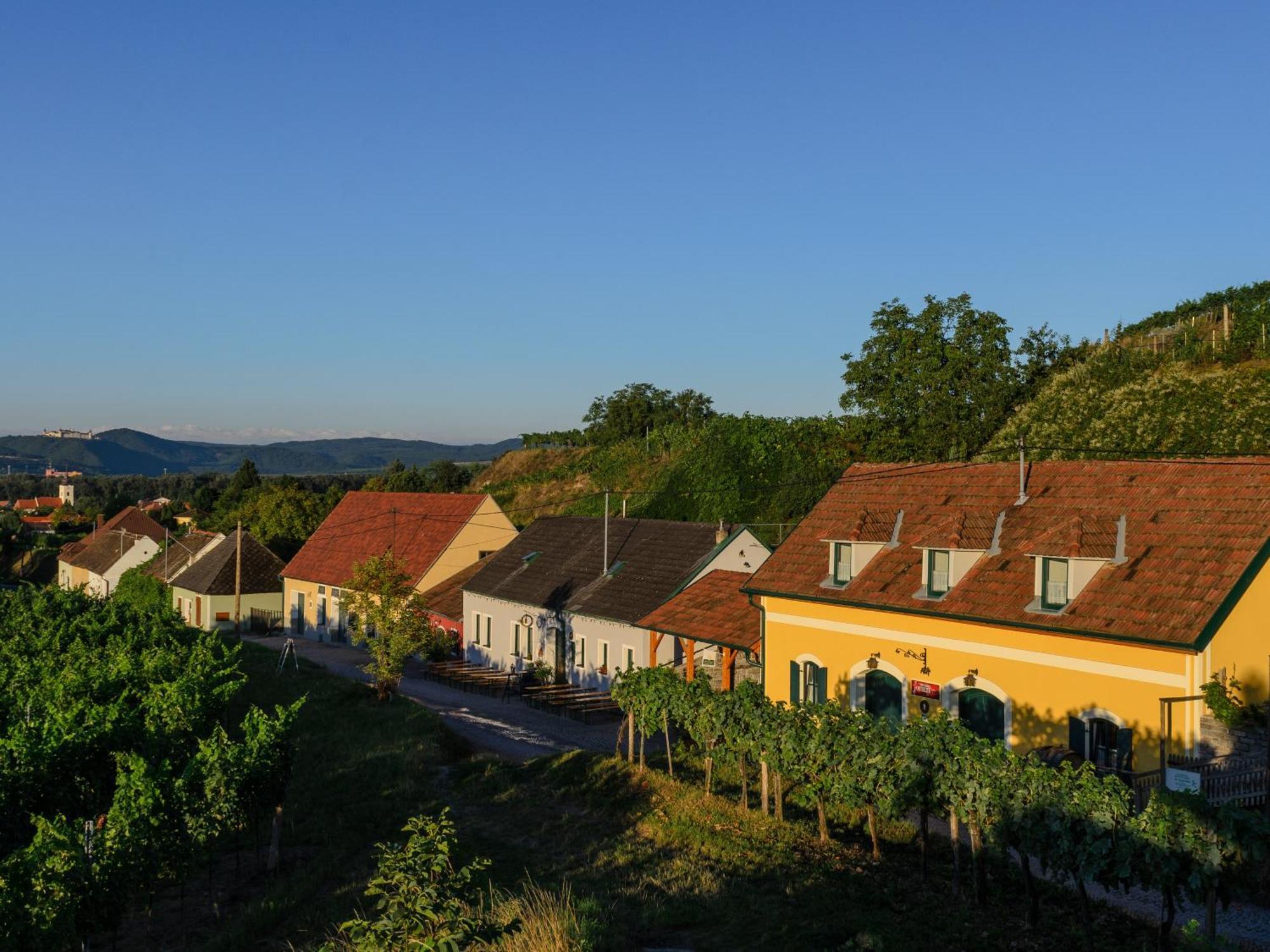Ferienwohnung Weinbergblick Rohrendorf bei Krems Extérieur photo